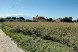 Terreno edificabile