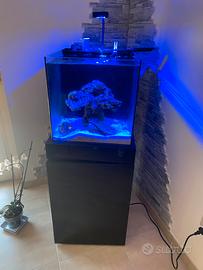 Acquario marino