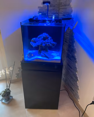 Acquario marino