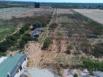 Terreno agricolo POLICORO - 30000 mq + case