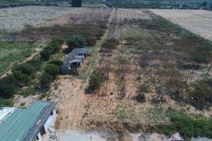 Terreno agricolo POLICORO - 30000 mq + case