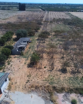 Terreno agricolo POLICORO - 30000 mq + case