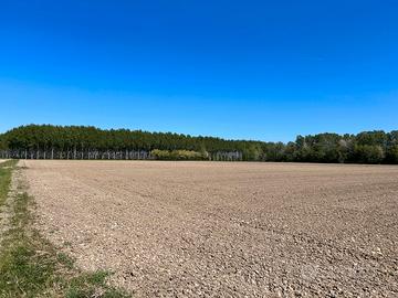 Terreno agricolo San Canzian d'Isonzo