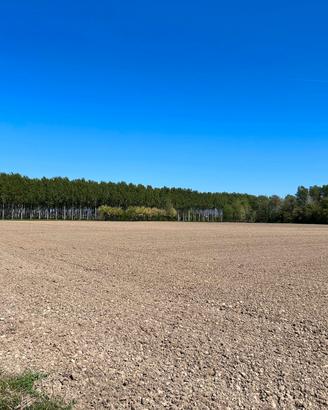 Terreno agricolo San Canzian d'Isonzo