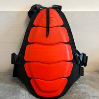 Paraschiena Sci Snowboard Dainese junior