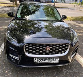 Jaguar e pace