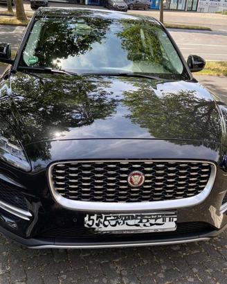 Jaguar e pace