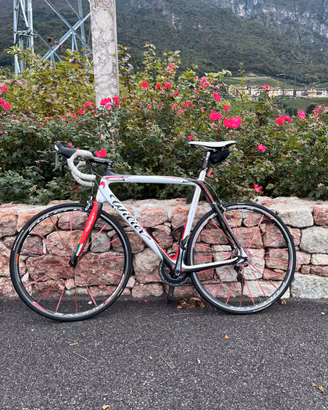 Wilier 101