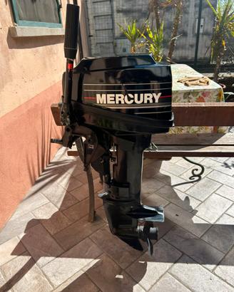Motore Fuoribordo Mercury 6cv