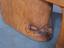 Immagine 7
