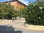 Immagine 7