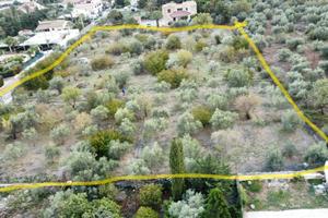 Terreno Via Dei Limoni