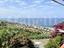 Immagine 12