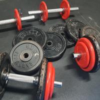 Manubri e dischi palestra