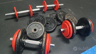 Manubri e dischi palestra