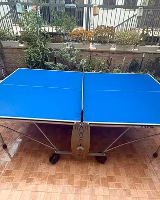 Tavolo da ping pong