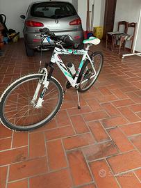 Bicicletta età 12-13 anni