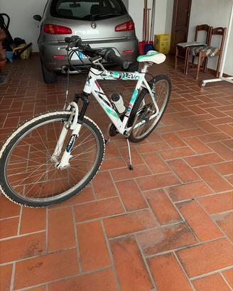 Bicicletta età 12-13 anni