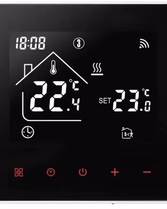 Termostato digitale Tuya Smart Alexa Wi-Fi