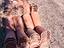 Immagine 1