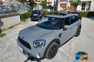 Mini Countryman Cooper Northwood Edition 1.5 Twin