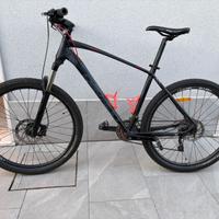 Mountain bike Devron