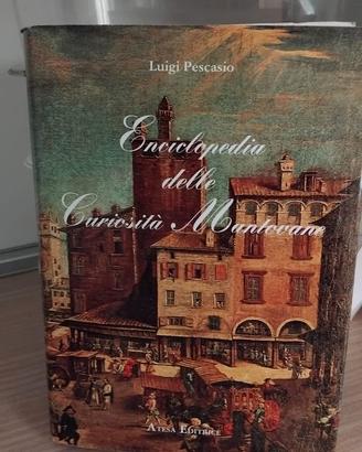 LIBRO SULLE CURIOSITA' MANTOVANE