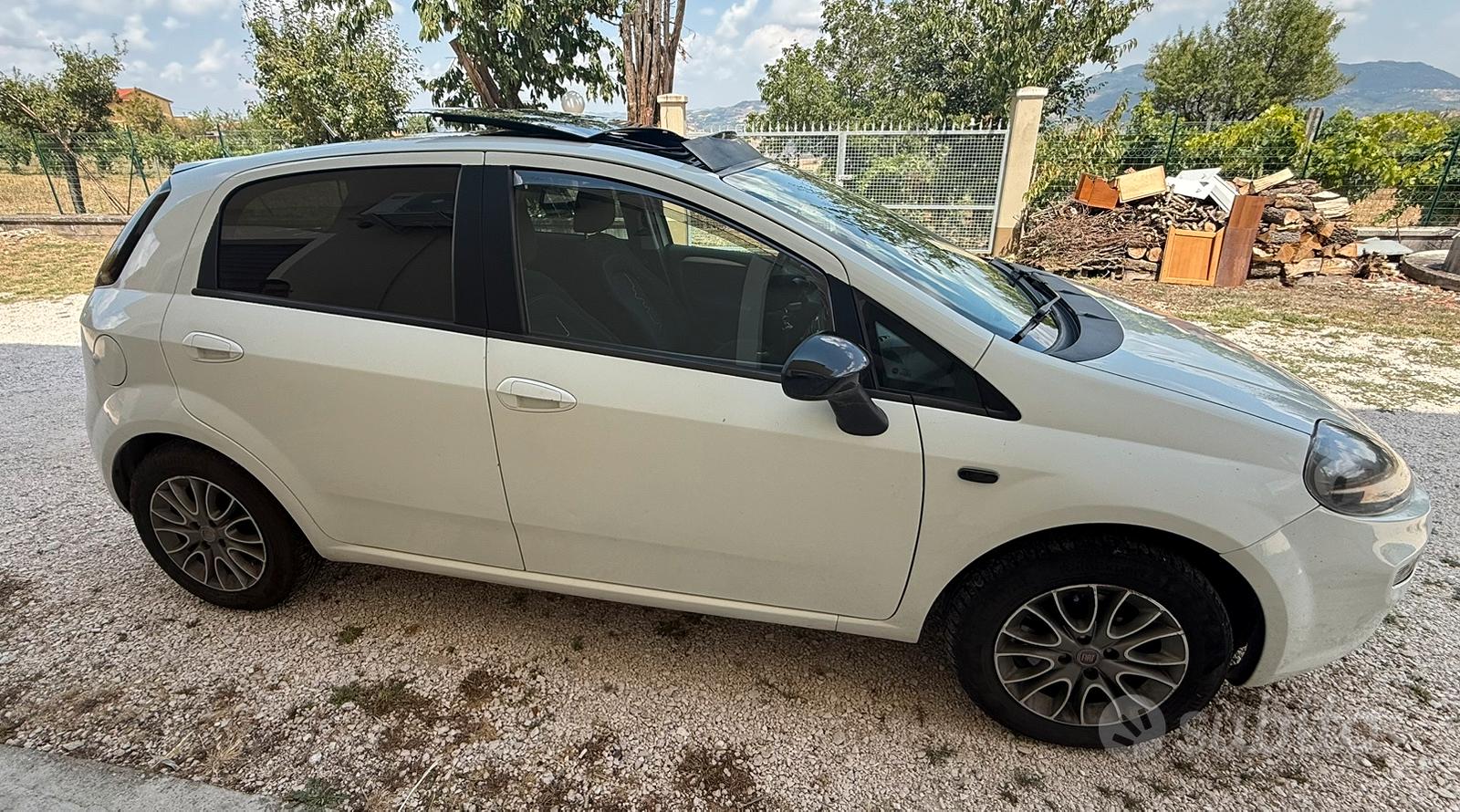 Fiat Punto 2012 photo 2