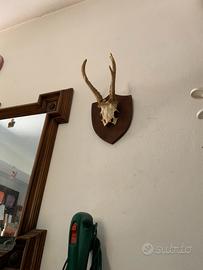 Teschio ornamentale