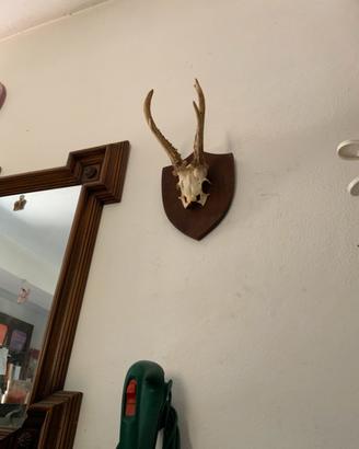 Teschio ornamentale