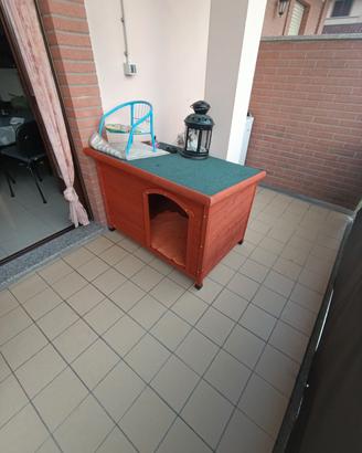 casa XL per cane