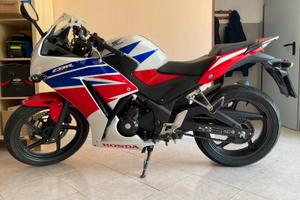 Honda cbr 300