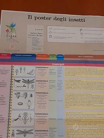 Il poster degli insetti", curato dagli entomologi