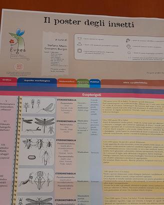 Il poster degli insetti", curato dagli entomologi