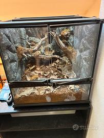 Terrario Exo terra 45x45x45