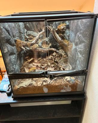 Terrario Exo terra 45x45x45