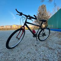 Bicicletta turin Speed