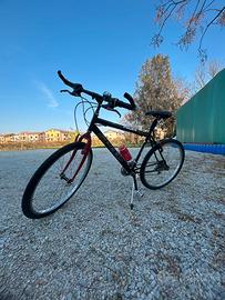 Bicicletta turin Speed