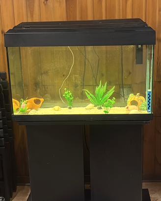 Acquario