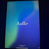iPad Pro 11 pollici (1a generazione)
