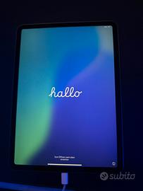 iPad Pro 11 pollici (1a generazione)
