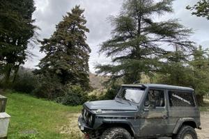 Mercedes GD300