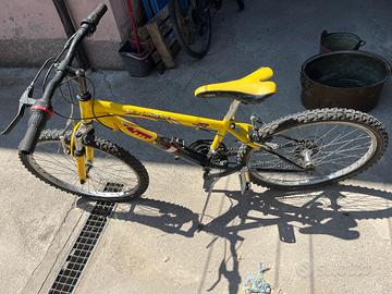 Bicicletta