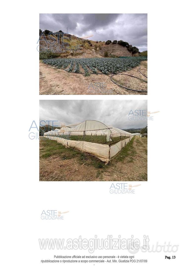 Terreno Agricolo Petrizzi [A4352968] - Vista 5