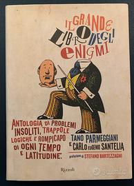 Il grande libro degli enigmi