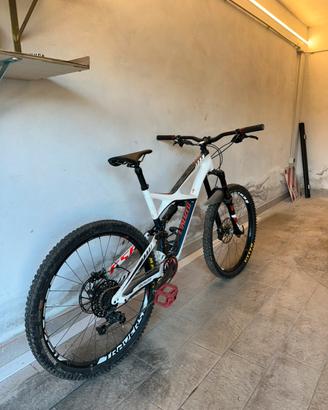 Specialized enduro downhill