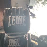 Guantini MMA leone