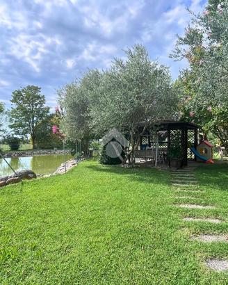 CAPANNONE A MOLINELLA