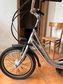 Bici elettrica