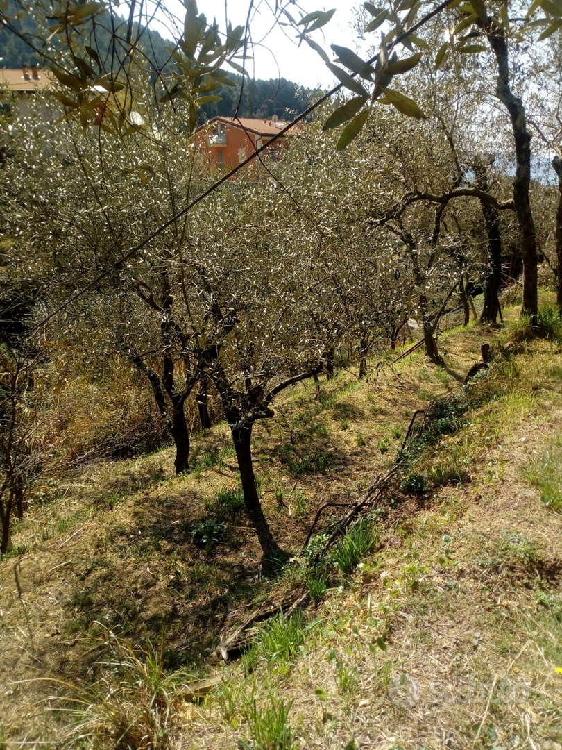 Terreno agricolo Muggiano La Spezia - Vista 3
